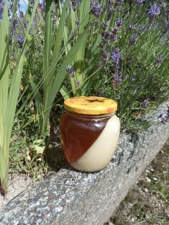 Květový med – světlý a tmavý med v jedné sklenici (650 g)